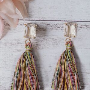 Multicolor Tassel Earrings